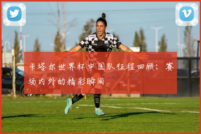 卡塔尔世界杯中国队征程回顾：赛场内外的精彩瞬间
