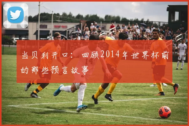 当贝利开口：回顾2014年世界杯前的那些预言故事