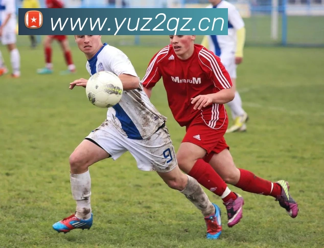 星空体育网址入口APP 体育赛事宣传图